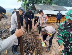 Dukung Program Polda Jabar, Polsek Cipatat Tanam Jagung dan Beri Alsintan Bagi Petani