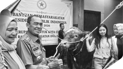 Walkot Ngatiyana Cek Sapi Kurban Pesanan Presiden