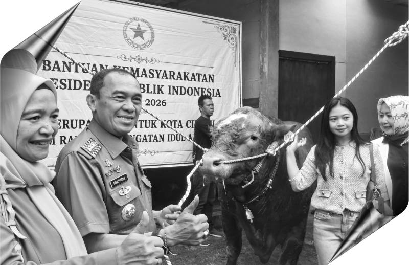 sapi kurban
