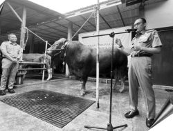 Pemkot Cimahi Serahkan Hewan Qurban Bantuan Presiden