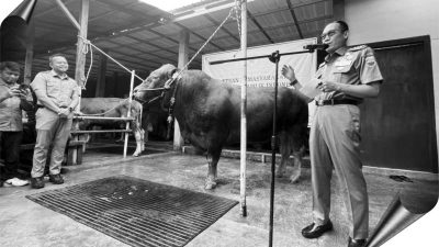 ibadah qurban