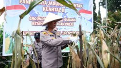 Ubah Lahan Tak Produktif Jadi Lumbung Pangan, Program Polres Cimahi Buahkan Hasil