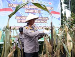 Ubah Lahan Tak Produktif Jadi Lumbung Pangan, Program Polres Cimahi Buahkan Hasil