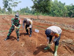 Polres Cimahi Terus Perkuat Ketahanan Pangan Oleh Program Jagung
