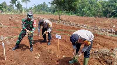 Polres Cimahi Terus Perkuat Ketahanan Pangan Oleh Program Jagung