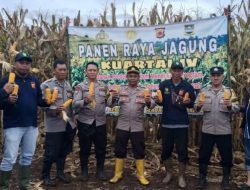 Tingkatkan Produksi Pangan, Polres Cimahi Panen 377,5 Ton Jagung
