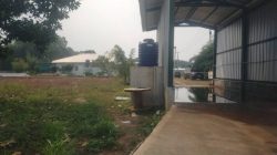 Warga Cidadap Cianjur Ngeluh Bau dan Serbuan Lalat Diduga dari Perusahaan Ternak Ayam