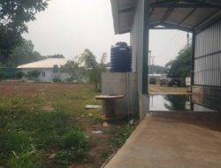 Warga Cidadap Cianjur Ngeluh Bau dan Serbuan Lalat Diduga dari Perusahaan Ternak Ayam